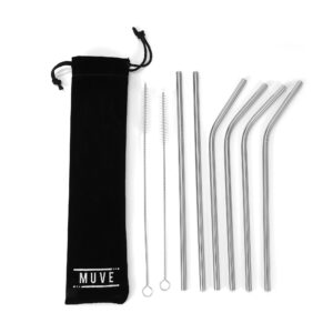 Metal Straw Pack