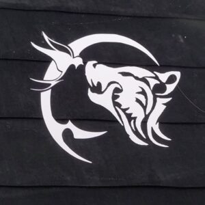 Geralt Witcher fanart vinyl car decal computer laptop sticker